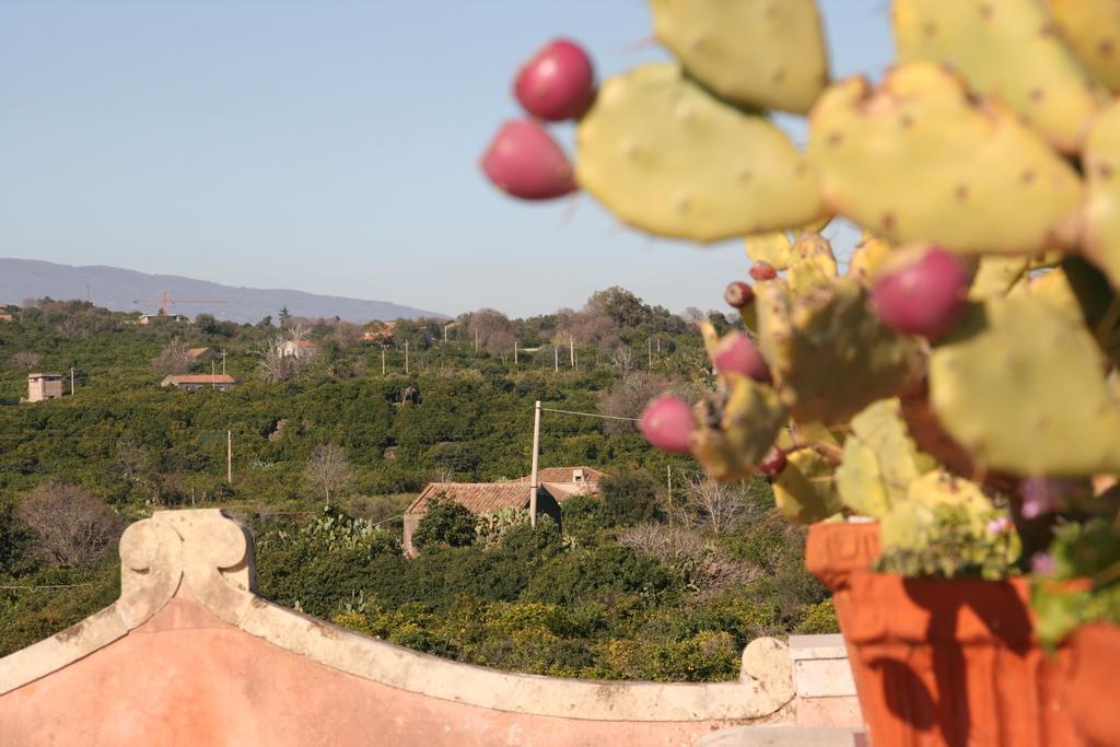 Villa Dei Leoni Санта Текла Екстериор снимка