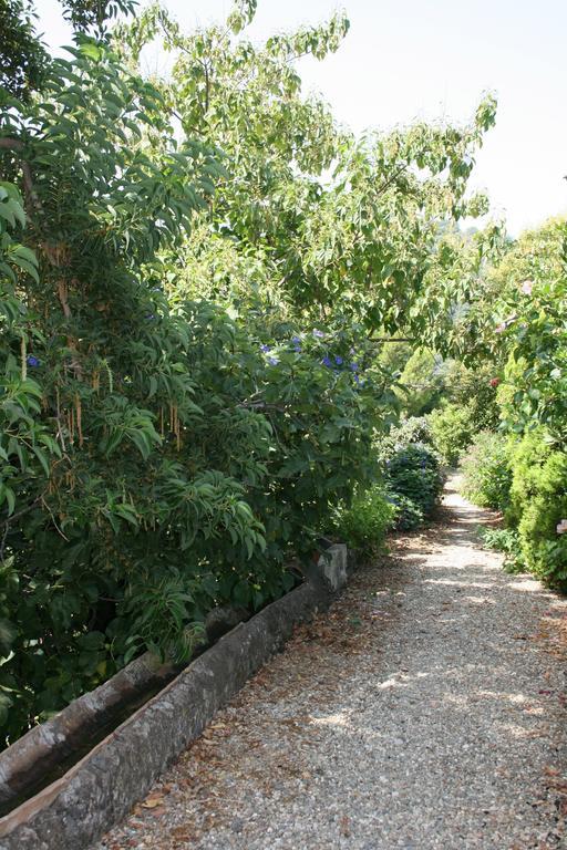 Villa Dei Leoni Санта Текла Екстериор снимка